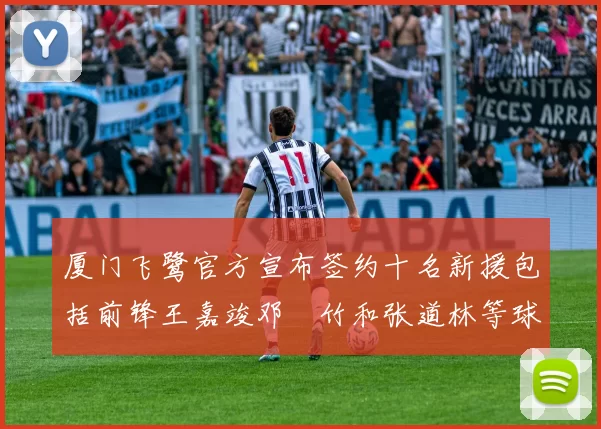 厦门飞鹭官方宣布签约十名新援包括前锋王嘉竣邓棽竹和张道林等球员