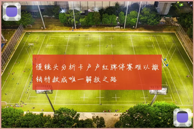 慢镜头分析卡卢卢红牌停赛难以撤销特赦成唯一解救之路
